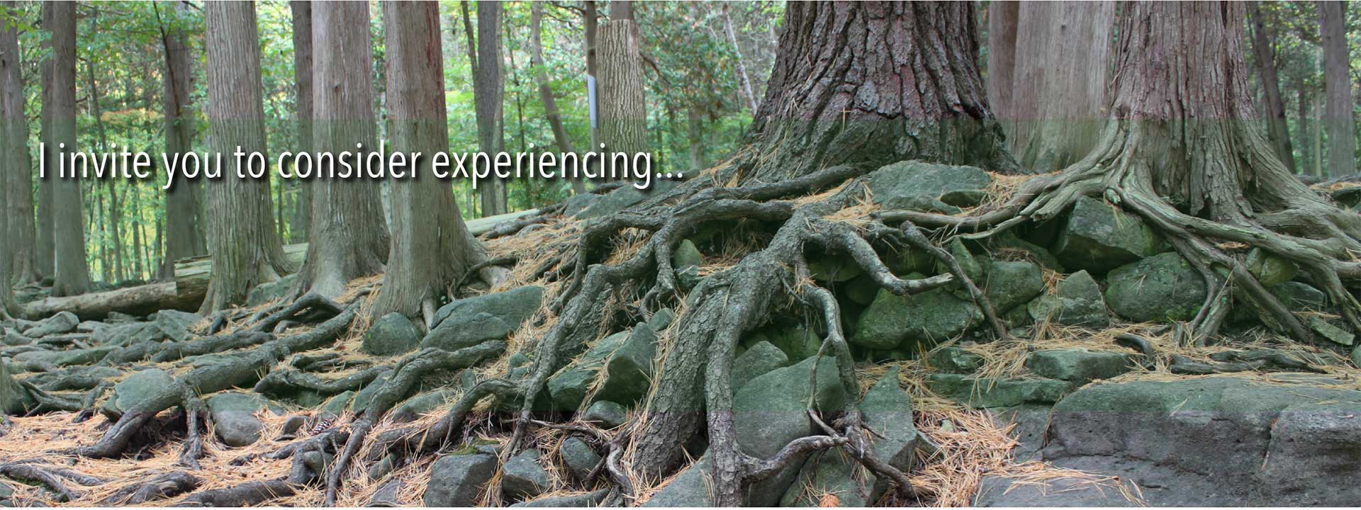 miboso-resources-header